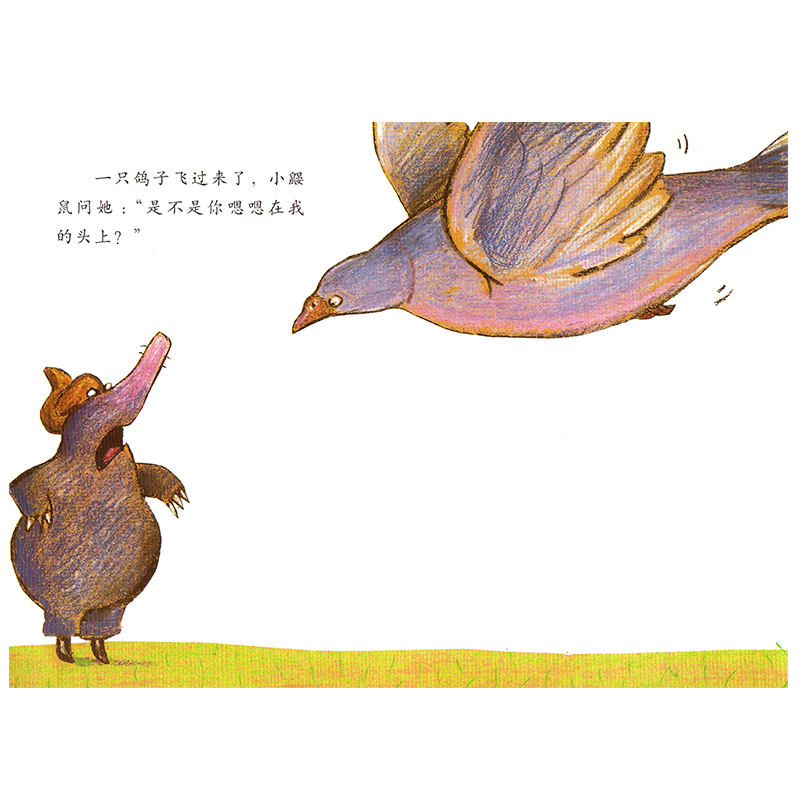 我爸爸 绘本 [正版]是谁嗯嗯在我的头上硬壳精装 儿童绘本幼儿故事书 宝宝启蒙绘本图画书 幼儿园绘本 是谁嗯嗯在我的头上