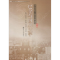 醉染图书巴金与四川大学9787561487990