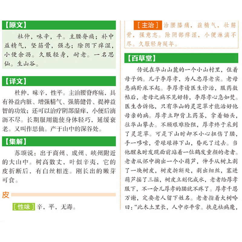 [醉染正版]神农本草经正版珍藏彩图鉴中国医学巨著中医基础理论中药学中草药图谱大全书 药物医学书籍中草药方处方中药养生书籍高清大图