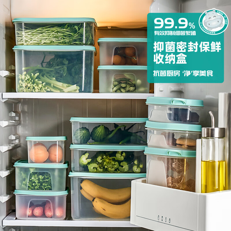 禧天龙(Citylong) 厨房冰箱长方形餐盒水果收纳盒 0.9L 抗菌保鲜盒2只装 KH-4047高清大图