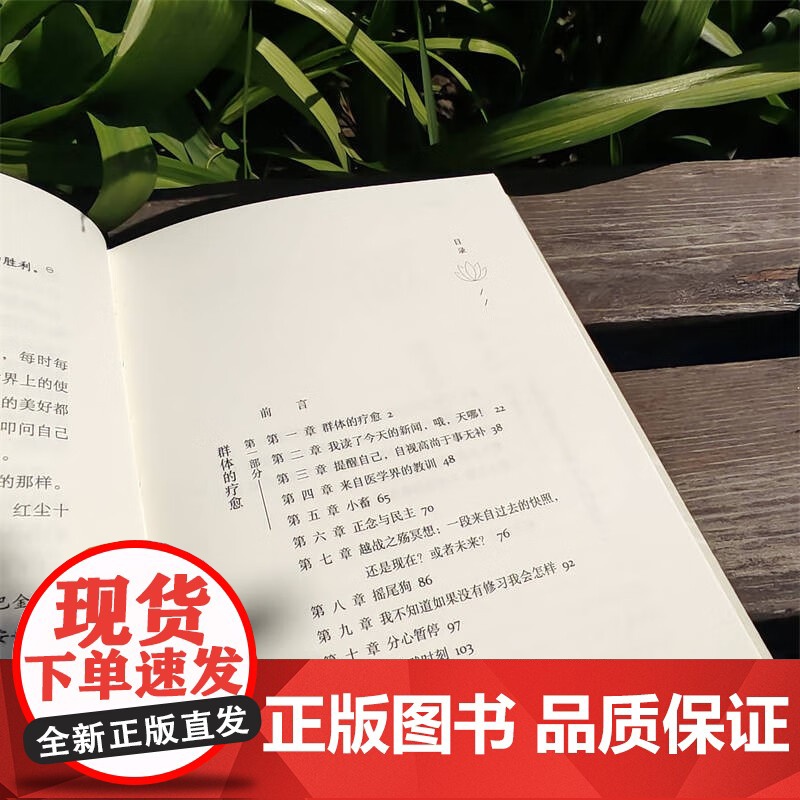 正念之道 疗愈受苦的心 乔恩·卡巴金 著 心理学高清大图