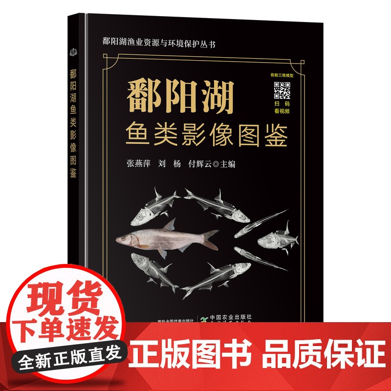 鄱阳湖鱼类影像图鉴高清大图