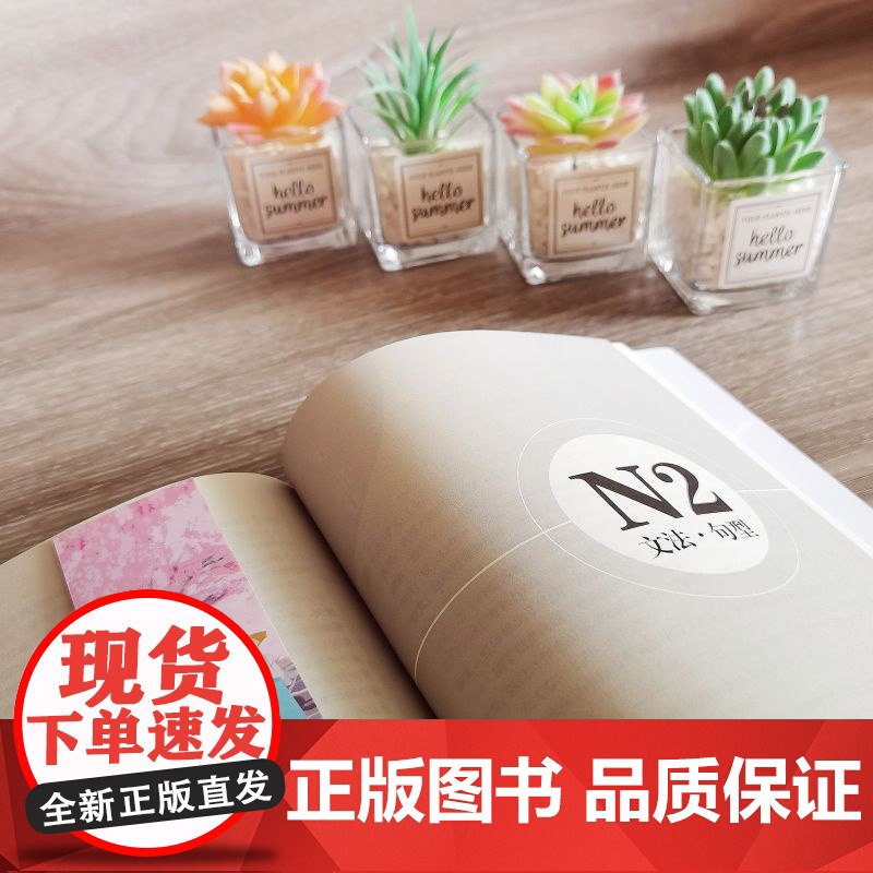 正版新书 蓝钻大全集 新日本语能力考试名师精讲·N1 N5文法 张继彤 清华大学出版社 日语 语法 水平考试高清大图