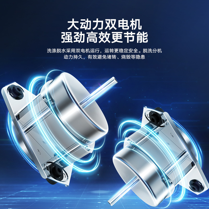 小天鹅(LittleSwan)洗衣机10公斤双缸双桶洗脱一体半自动家用大容量洗脱分离10kg省水省电TP100VH60E