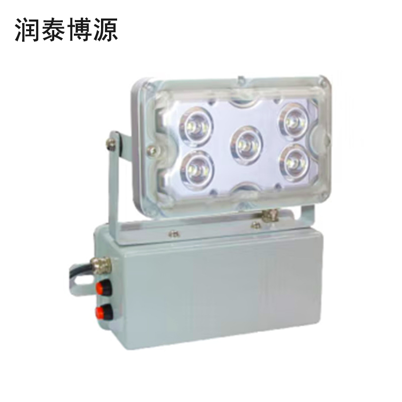 润泰博源 RT292J LED 应急照明灯 (计价单位：盏) 灰色
