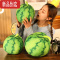 真智力仿真西瓜零食抱枕网红玩具毛绒公仔球形儿童水果道具创意女生礼物 军绿色 30厘米仿真食物