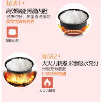 美的电饭煲 FS165 迷你容量 BB婴儿粥 智能 预约 宿舍 小电饭锅 1.6L 黑金内胆 底盘加热