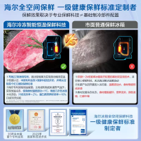 海尔(Haier)485升法式多门零嵌冰箱 全空间保鲜 EPP超净系统 BCD-485WGHFD1BWLU1