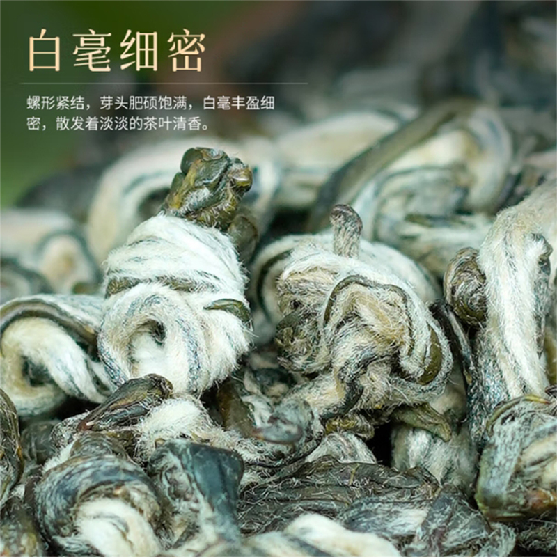 碧螺春明前茶浓香当季新茶泡茶煮水口粮茶过年过节送礼好物高清大图