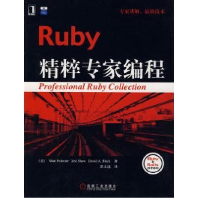 11Ruby精粹专家编程978711125351822