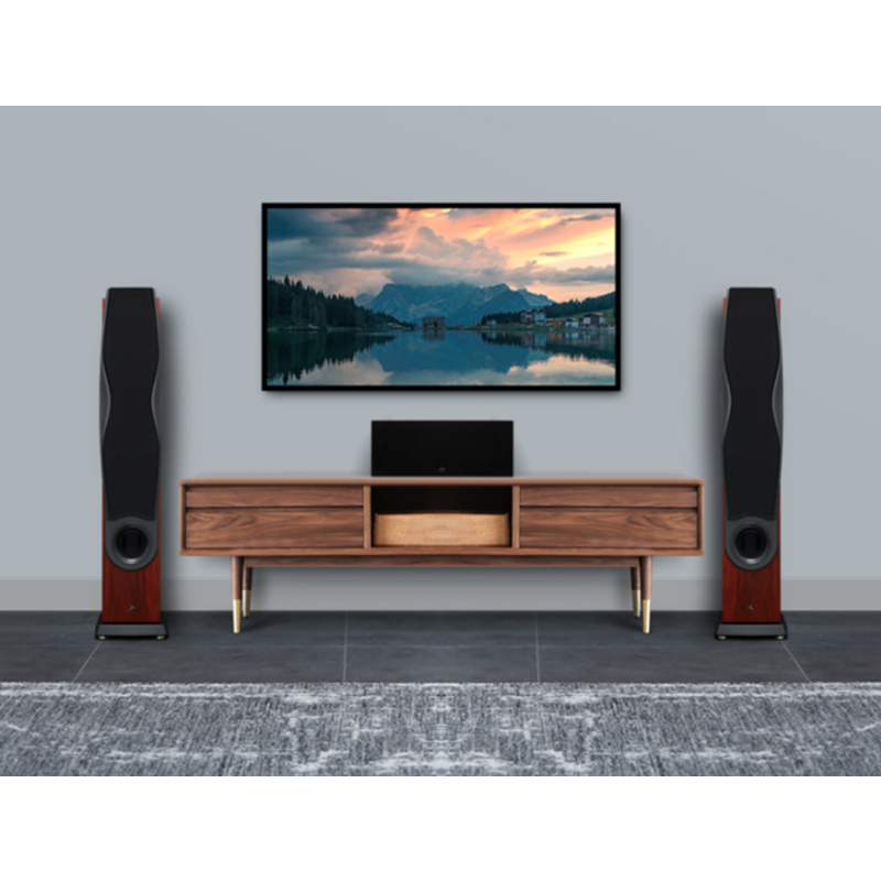 Hivi/惠威 RM600C 家庭影院中置音箱 家用客厅电视音响木质钢琴漆 AV音箱