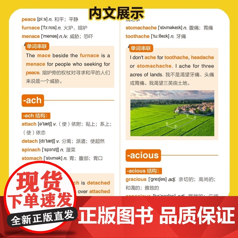 初中英语单词3500词 中小学英语单词汇总表中考必备基础单词3500学1个会3个英文学习自学入门零基础100个句子记完中高清大图