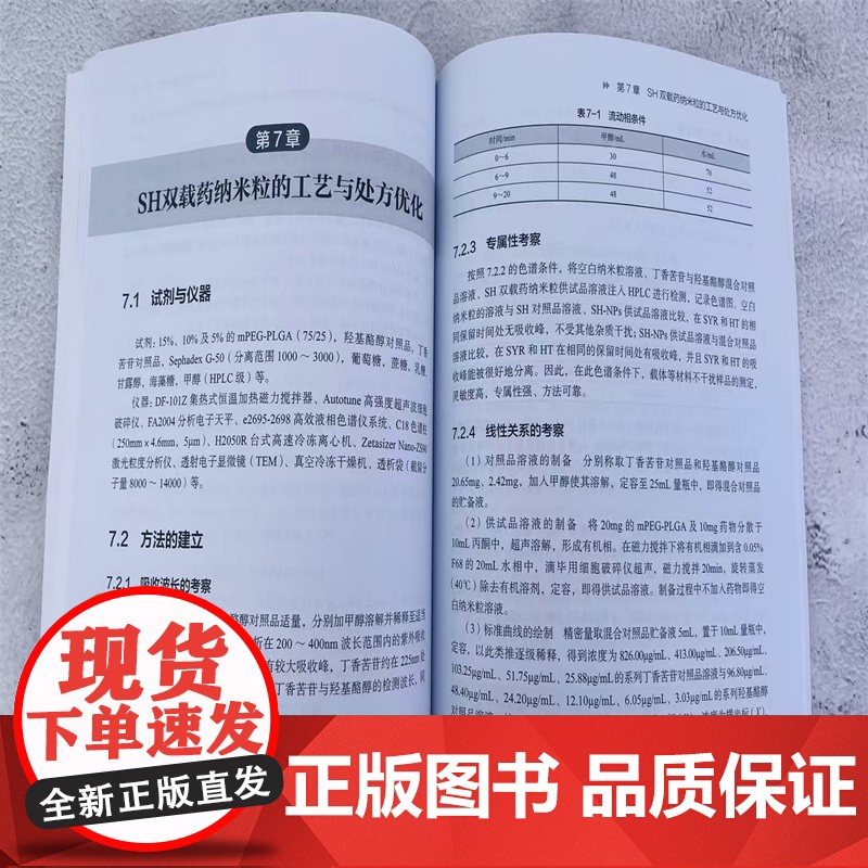 纳米载药体系构建高清大图