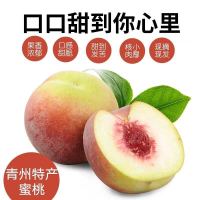 【顺丰速运】5斤装现摘青州蜜桃新鲜水果桃子毛桃脆桃约12-20个