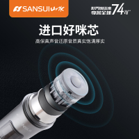 SanSui/山水 SK13-43无线话筒麦克风会议专用