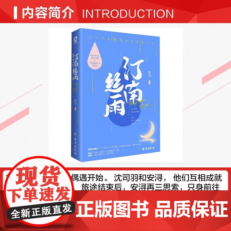 赠许愿卡+机票+折立卡+贴纸+语录书签]汀南丝雨 狄戈代表作纪念版沈司羽安浔青春文学都市爱情情感甜宠言情小说高清大图