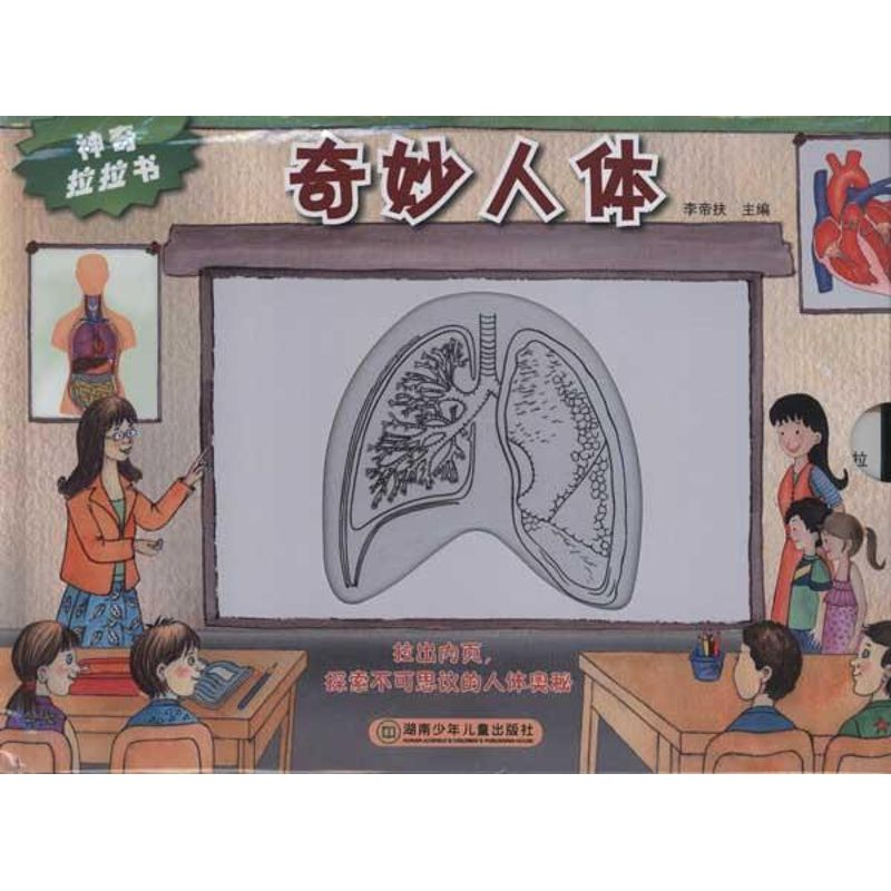 正版新书]奇妙人体-神奇拉拉书李帝扶9787535868442高清大图