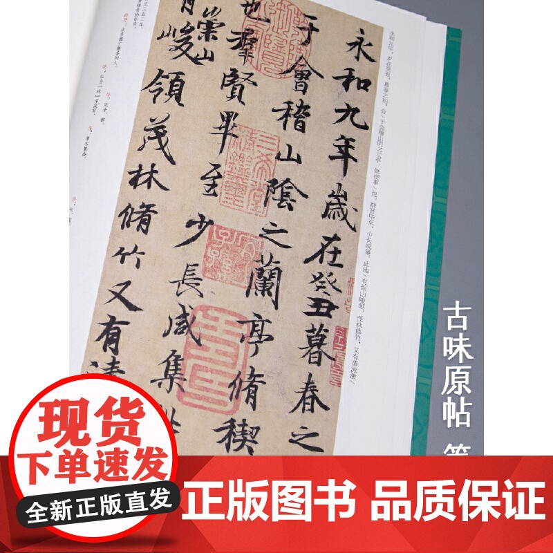 王羲之《兰亭序》中国历代经典碑帖 书法行书字帖真迹原大临摹正楷书籍练字入门集字学生 杨建飞主编高清大图