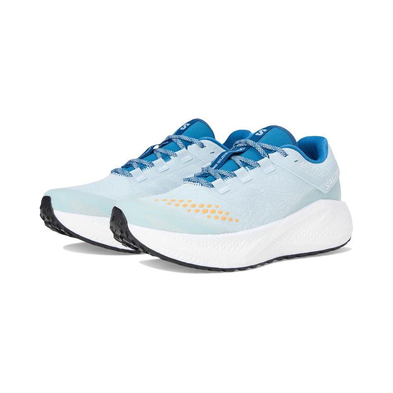 萨洛蒙(SALOMON)男款越野跑鞋专业缓震抓地力强竞速训练GTX防水户 Ballad_Blue/White/French_Blue 41