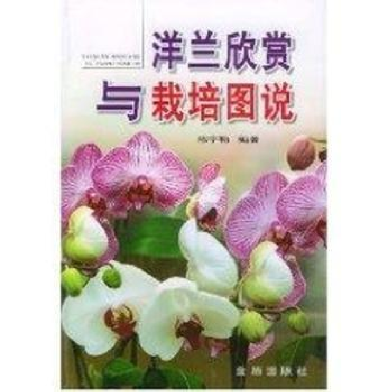 音像洋兰欣赏与栽培图说陈宇勒
