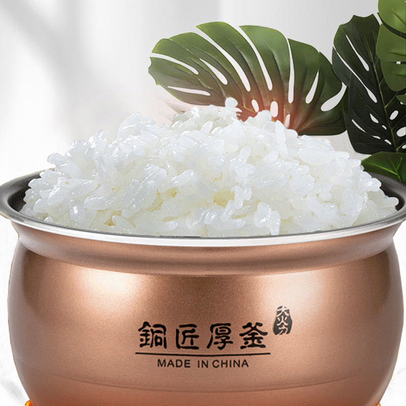 九阳(Joyoung)电饭煲4L-F40FY-F330高清大图