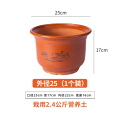 花盆陶瓷家用大号多肉花盆陶瓷盆兰花绿植物盆栽透气紫砂陶土土 口径25cm送托盘
