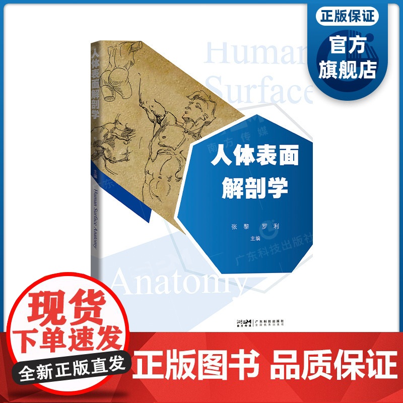 人体表面解剖学 首版融合医学艺术体育的创新型教材 全彩印刷透视图线条图 临床医师针灸师康复治疗师美术教师 广东科技出版社高清大图