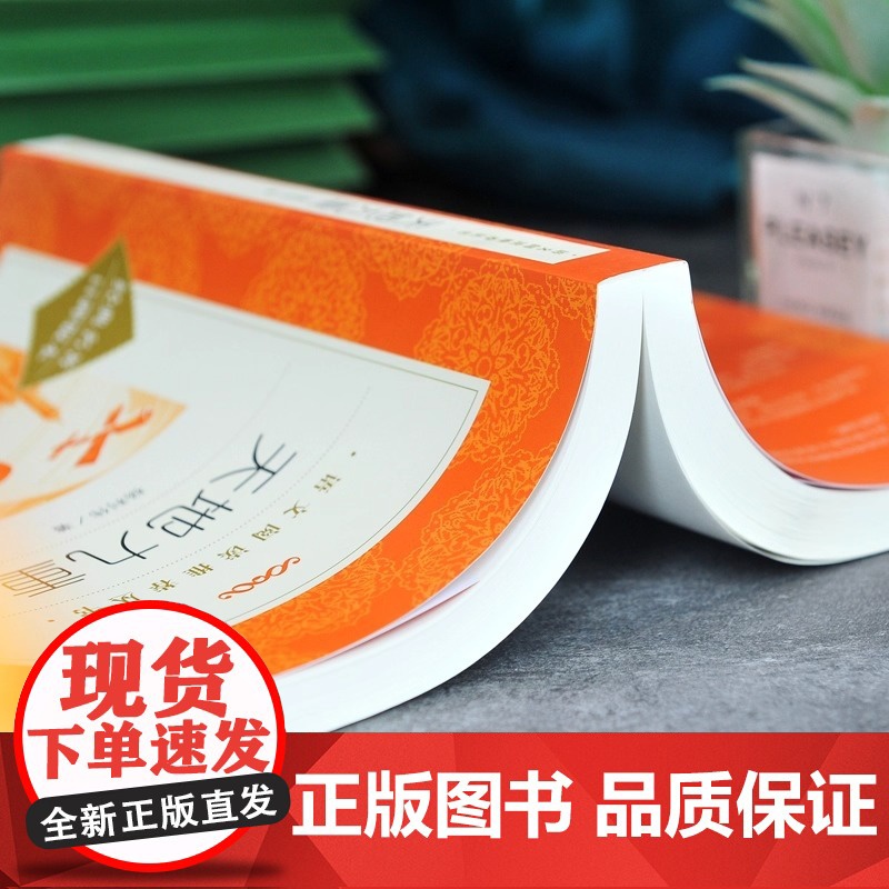 天地九重 航天员杨利伟自传 记录中国航天事业的辉煌历程 语文 阅读丛书 了解航天英雄的成长轨迹 人民文学出版社书籍高清大图