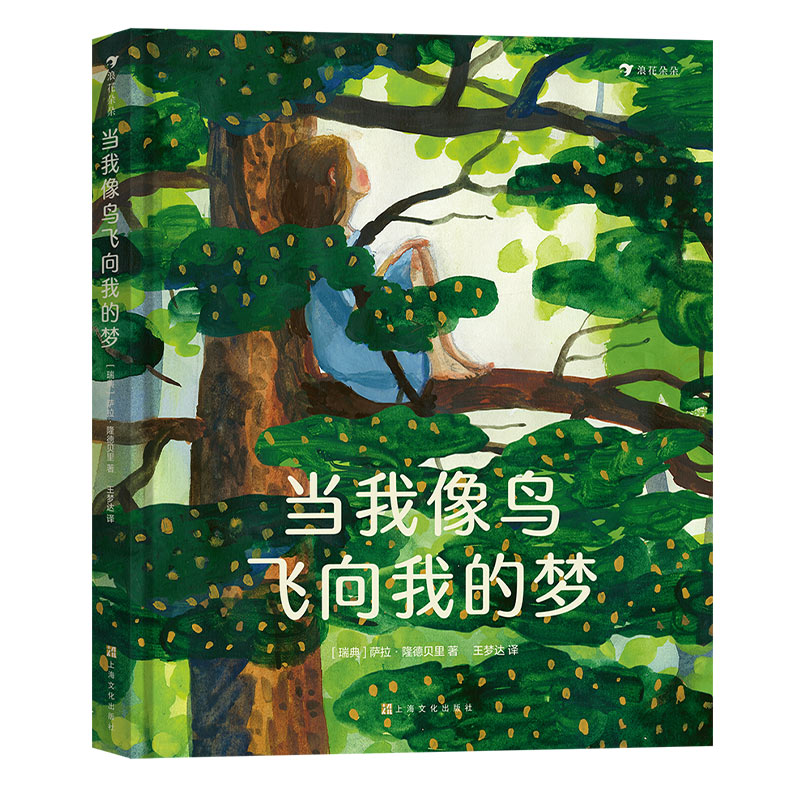 当我像鸟飞向我的梦 [正版]当我像鸟飞向我的梦 8-12岁青少年成长励志文学绘本 一个女孩追求梦想、坚持自我的励志故事高清大图