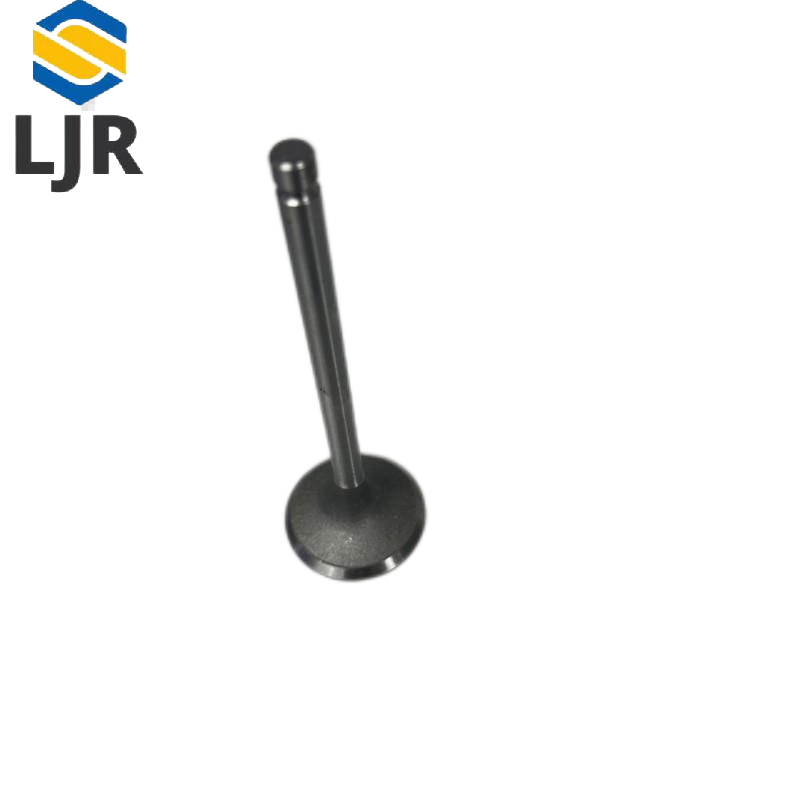 利冀尔 进排气阀 LJE - GX系列通用 个高清大图