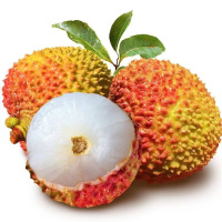 [五个农民] 海南妃子笑新鲜荔枝 净重4.5斤礼盒装 产地直采量贩装 新鲜水果