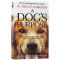 一条狗的使命 英文原版小说 A Dog’s Purpose 外国著名言情小说书籍 同名电影原著 讲述世间珍贵的爱与忠诚