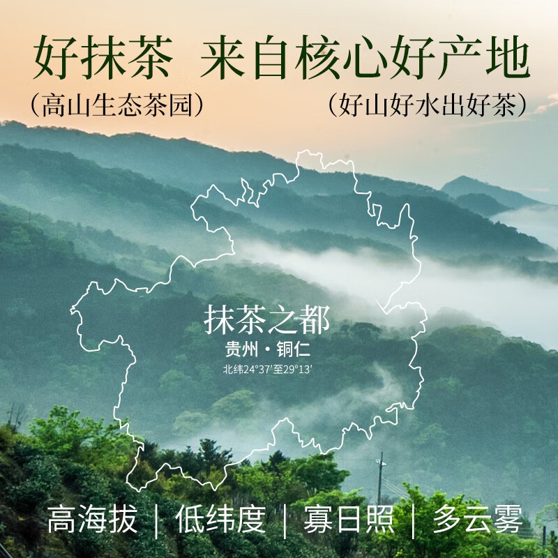 可可满分 茉莉抹茶-1L*2瓶_高清大图