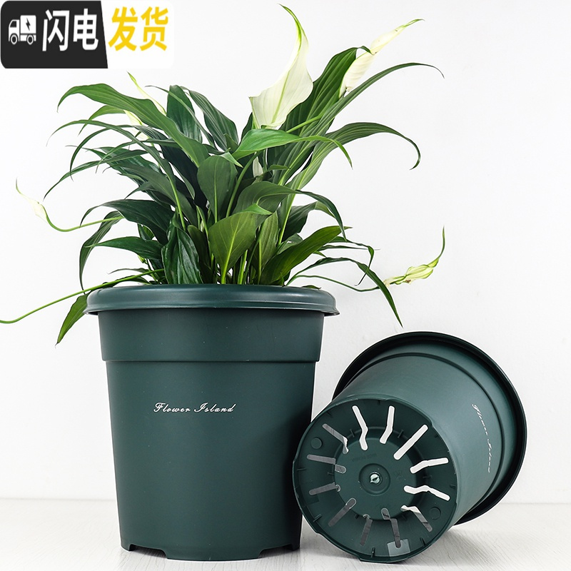 三维工匠全新二代升级国产青山盆加厚塑料树脂控根透气多肉月季花盆 灰色[3号盆+托] 中等花盆容器