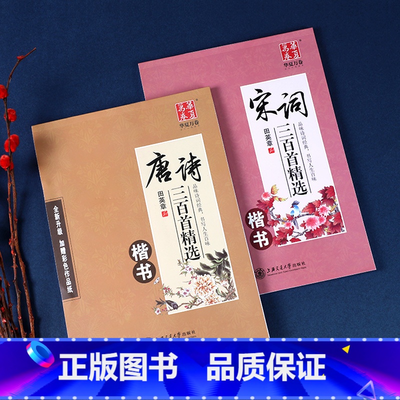 【2本】唐诗+宋词三百首精选 【正版】田英章书楷书字帖 唐诗宋词三百首精选 字帖练字成年正楷 钢笔字帖楷书 大中小学生