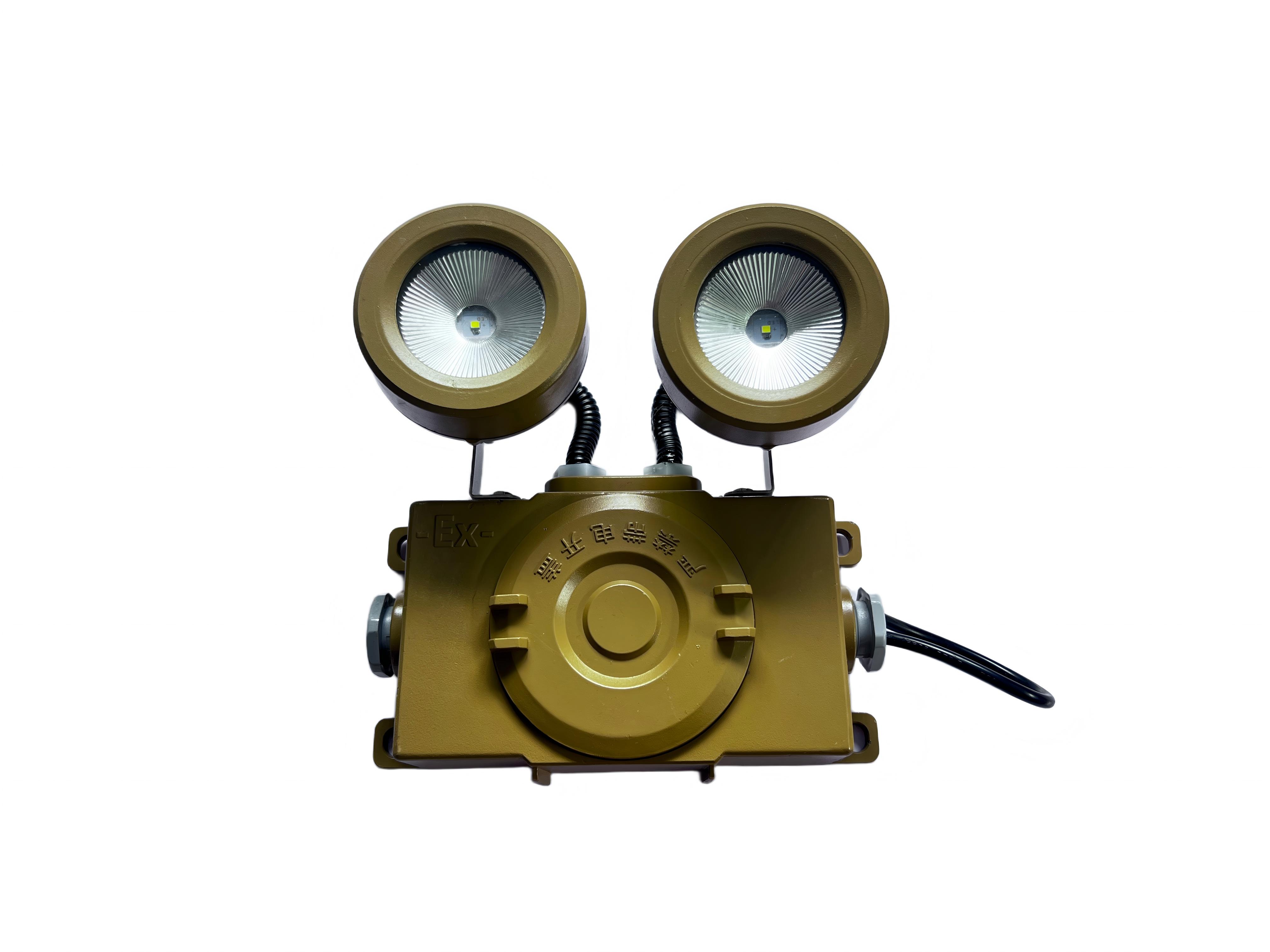 虎光风行消防应急照明具 HG-ZM-BDZ-BTC6155-50 (计价单位:个)高清大图