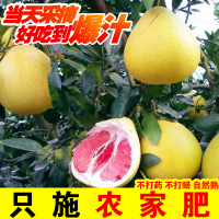 星火山人 精品红心柚子（7-8斤） 果园直发 红柚红心蜜柚孕妇水果