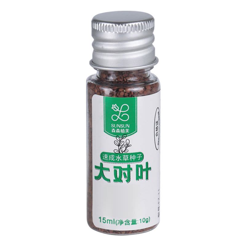 迷你对叶水草鱼缸装饰水草种子水草泥前景草真水草懒人造景速成草图片