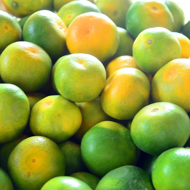 个人店其他品牌柑橘类