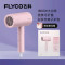 飞科(FLYCO)家用大功率高速吹风机负离子护发家用大风力不伤发速干吹宿舍用学生风筒FH6278