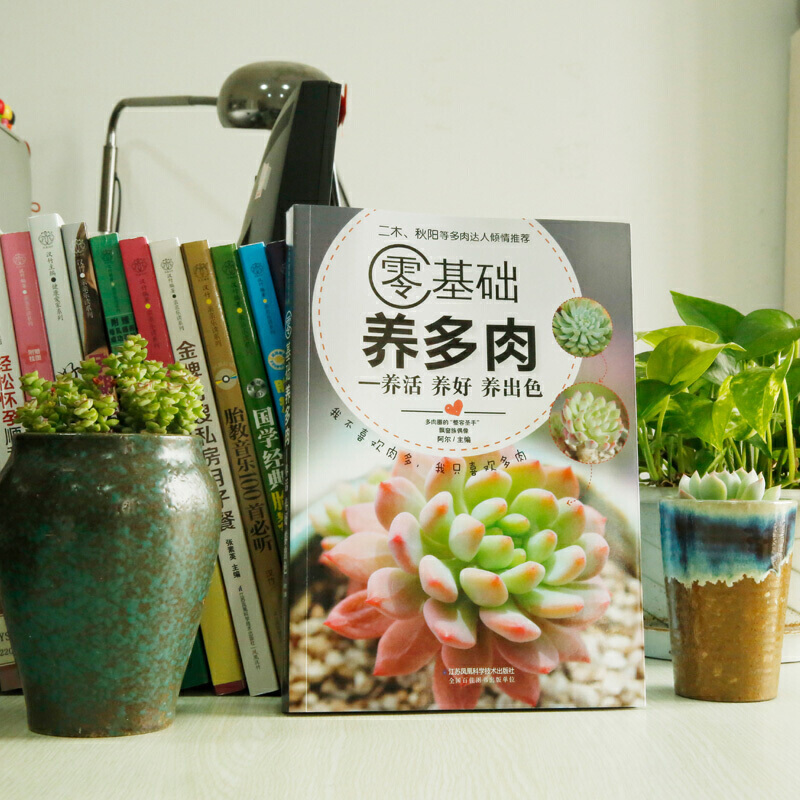 [醉染正版]零基础养多肉养活养好养出色 养活养好养花书籍种花大全 多肉盆栽培技术入门教程书籍大全 花艺技术植物种植养护方高清大图