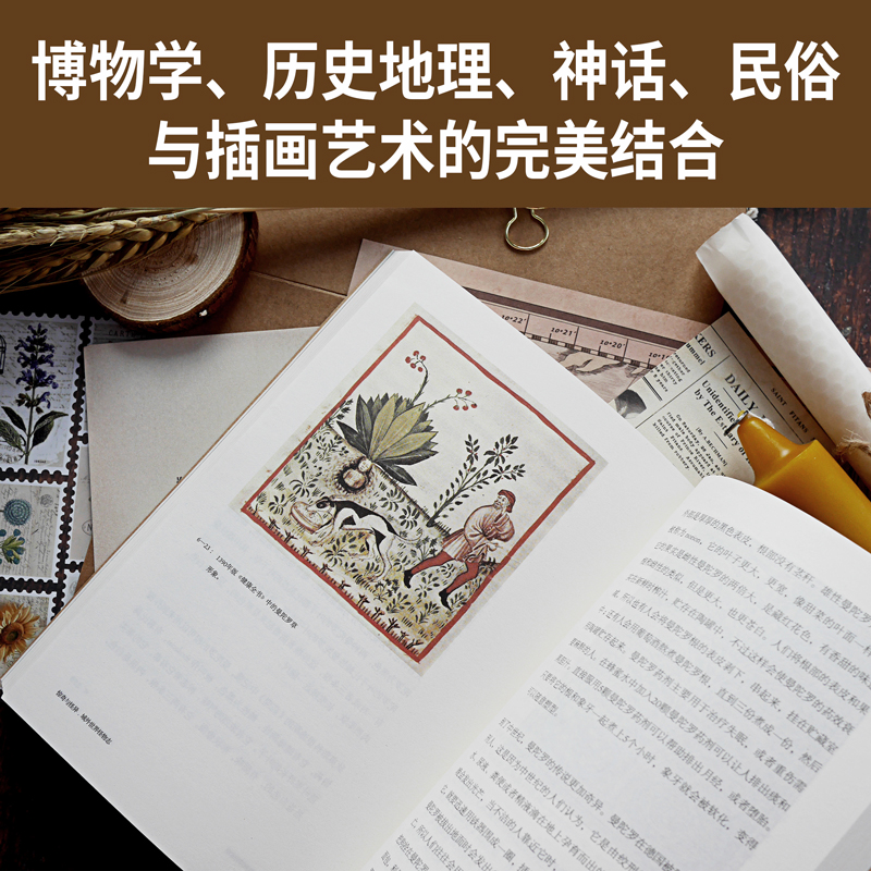 [正版]惊奇与怪异 域外世界怪物志 海外版山海经 西方传说中的1108种怪物 博物学 历史地理 神话 民俗与插画艺术高清大图