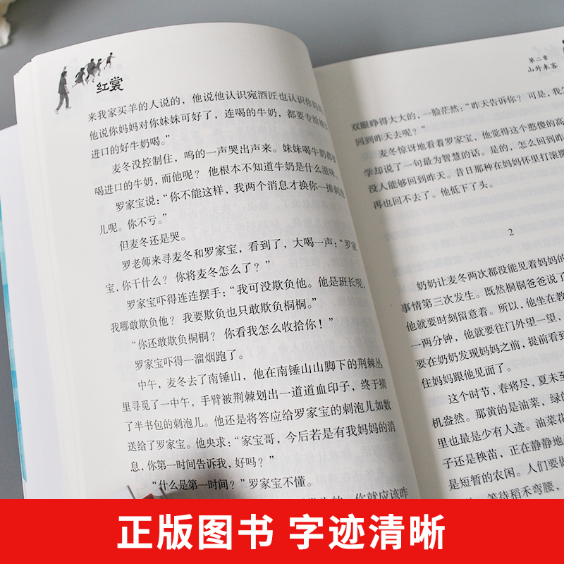 红裳 [正版]红裳“生命的光亮”儿童生命教育小说 小学生课外阅读书籍三四五年级8-9-10-12岁儿童成长励志故事书儿童高清大图