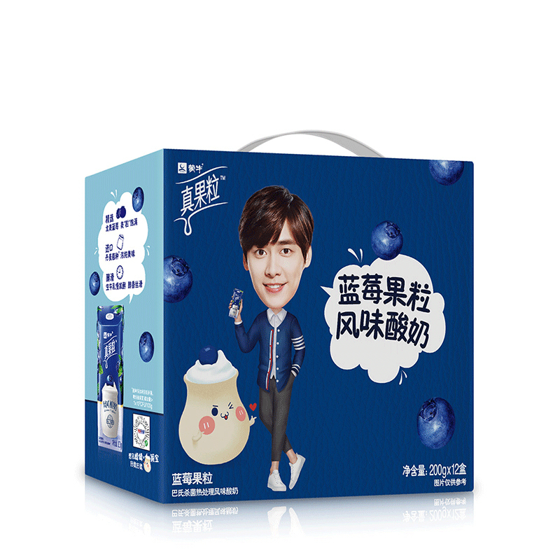 蒙牛 真果粒 蓝莓果粒风味酸奶康美笑脸包200g×12包