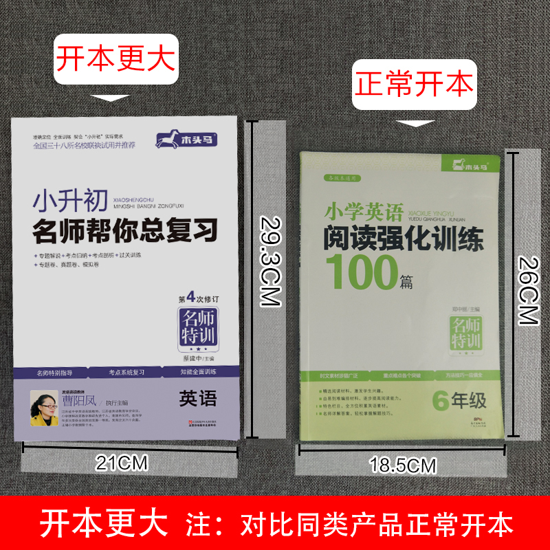 [正版]小升初总复习全套语文数学英语非人教版 木头马小学升初中六年级下册试卷必刷题天天练押真题专项训练系统衔接资料名师