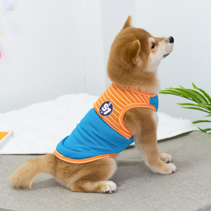 夏季薄款透气米妮狗狗衣服柴犬柯基法斗泰迪比熊雪纳瑞中大小型犬宠物报价 参数 图片 视频 怎么样 问答 苏宁易购
