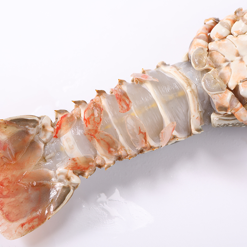 渔乐深态印度小青龙400500g1头盒