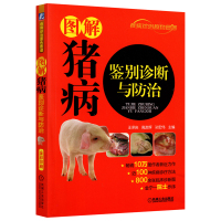 图解猪病鉴别诊断与防治 畜禽常见病猪病防治技术教程 猪病兽医书籍 科学养猪技术大全书籍 猪养殖书籍猪瘟预防与防治 养猪的
