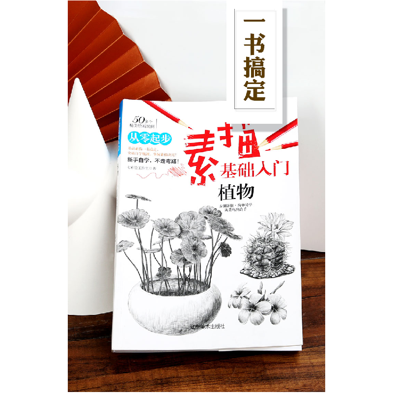 正版新书]素描基础入门--植物七彩绘工作室 绘9787531483205高清大图