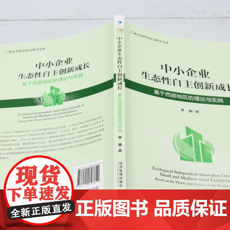 中小企业生态性自主创新成长:基于西部地区的理论与实践高清大图